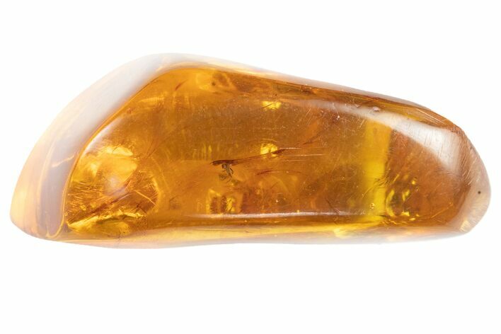 Polished Amber With Detailed Fossil Fly ( g) - Mexico #102494